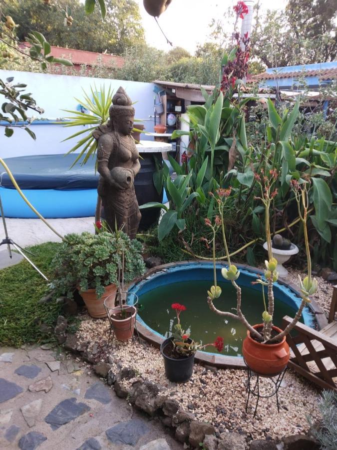 拉奥罗塔瓦Casa Anaelia别墅 外观 照片